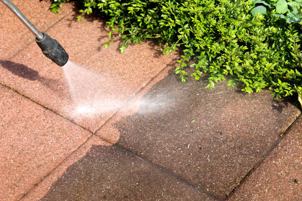 Best Pressure Washing Near Me  in Dawson Springs, KY
